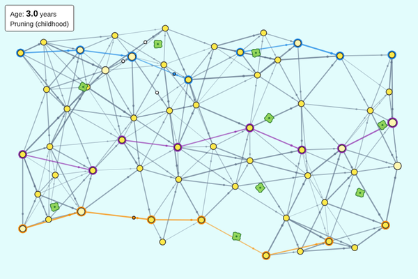 Network of yellow neurons connected by synapses, with green microglia